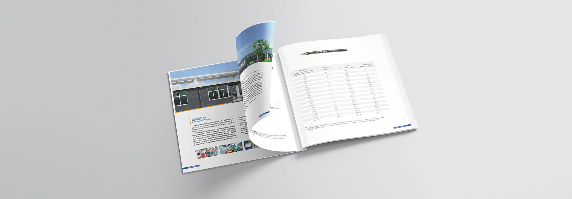 品牌設(shè)計(jì)，vi設(shè)計(jì)，logo設(shè)計(jì)，廣告設(shè)計(jì)，平面設(shè)計(jì)