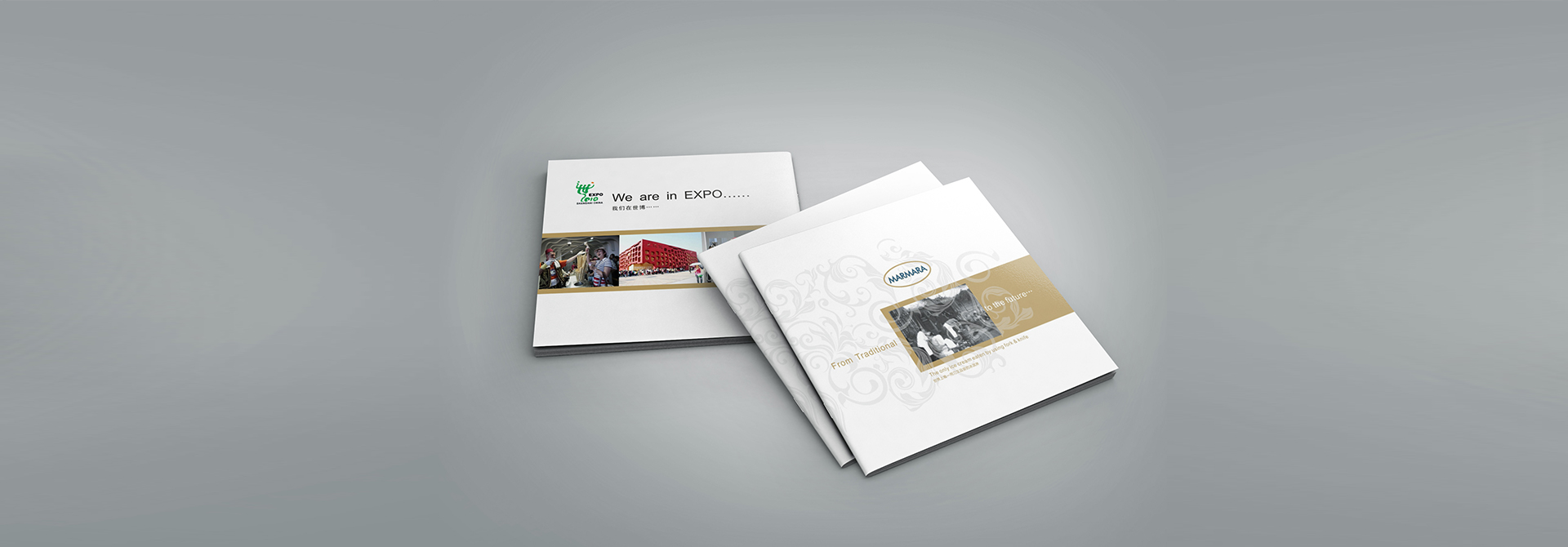 品牌規范，品牌設計，vi設計，logo設計，廣告設計，平面設計