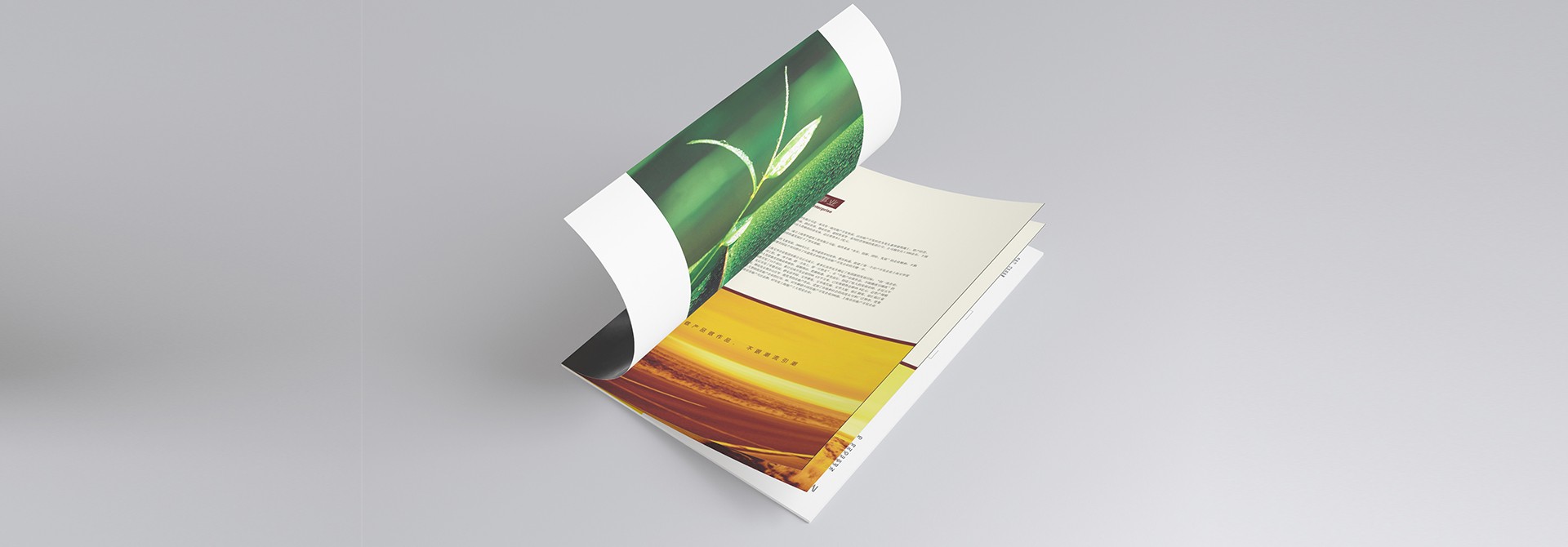 品牌設計，品牌策劃，品牌規范