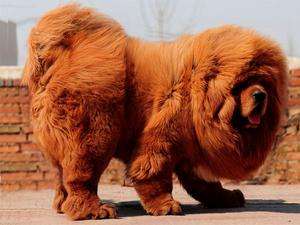 品牌設計，品牌營銷策劃公司，品牌咨詢