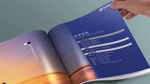 品牌設(shè)計(jì)，品牌策劃，品牌咨詢(xún)，品牌創(chuàng)意，vi設(shè)計(jì)，logo設(shè)計(jì)，廣告設(shè)計(jì)，畫(huà)冊(cè)設(shè)計(jì)