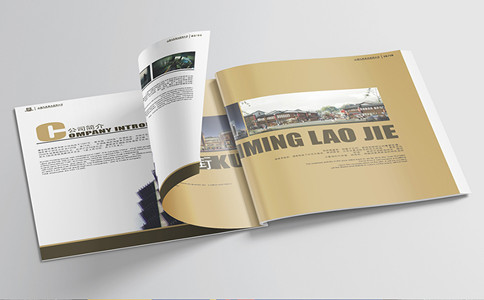 品牌設(shè)計(jì)公司，畫冊設(shè)計(jì)，vi設(shè)計(jì)，logo設(shè)計(jì)，廣告設(shè)計(jì)，平面設(shè)計(jì)